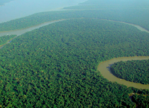 Selva Amazónica