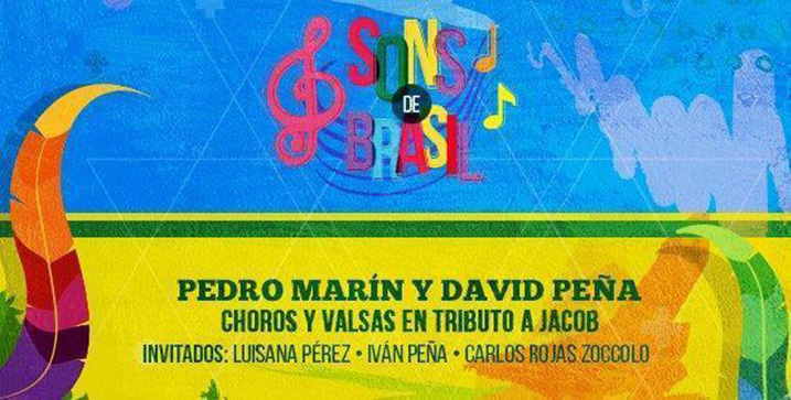 sons-de-brasil