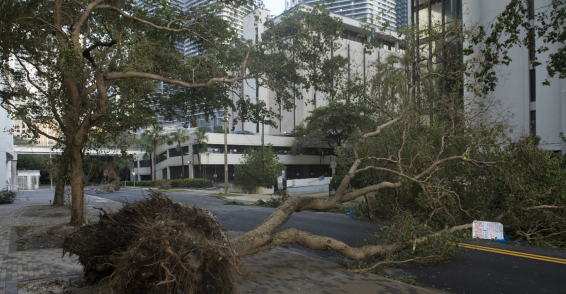 Huracán Irma en Miami