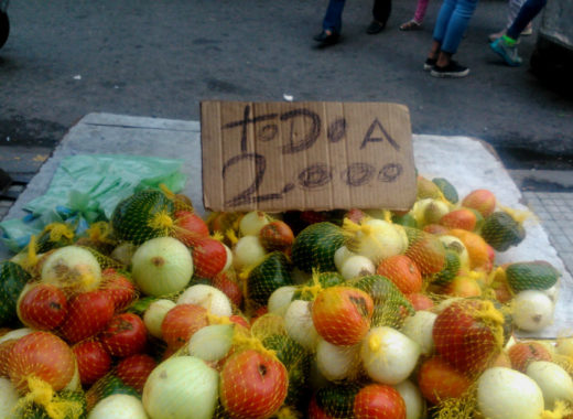 Verduras legumbres hortalizas tomates cebollas pimentones