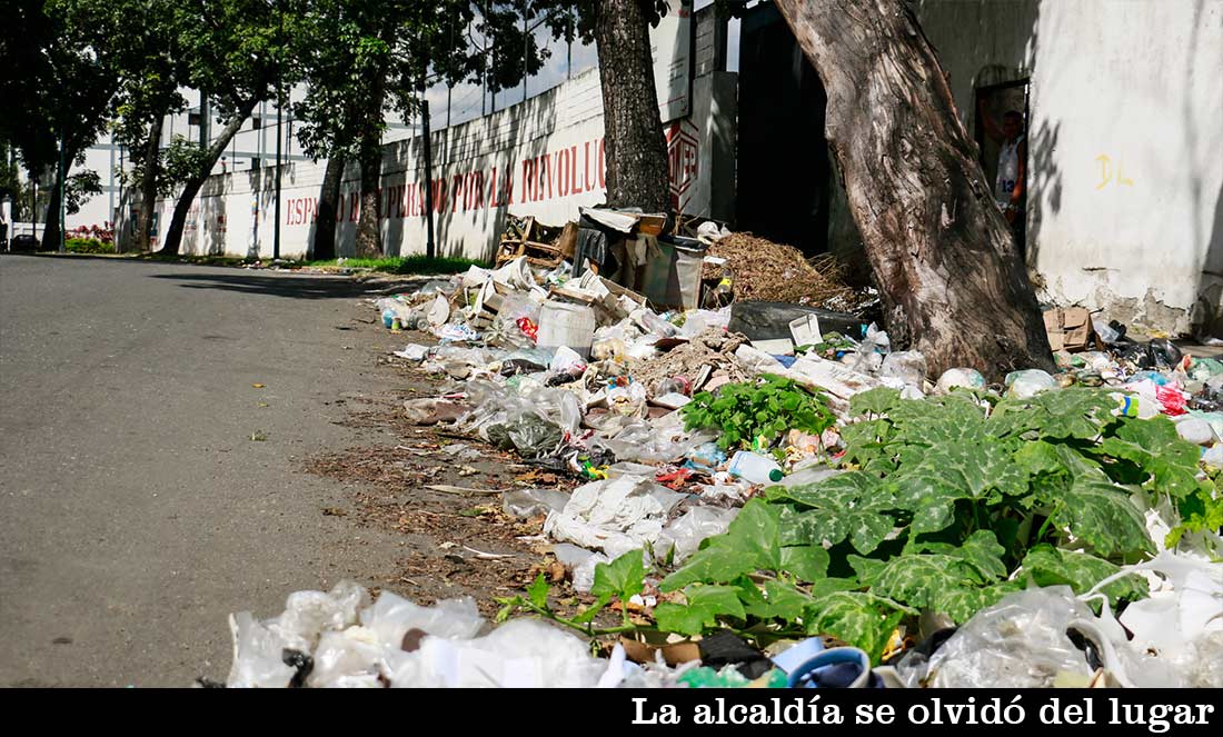 CL_Planta_FR-13