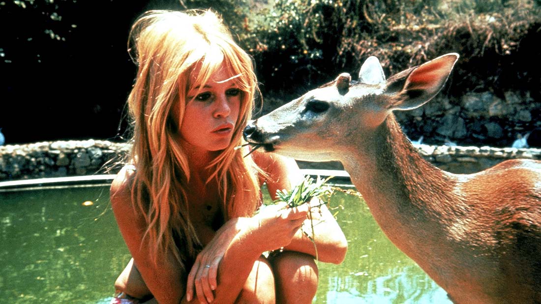 bardot