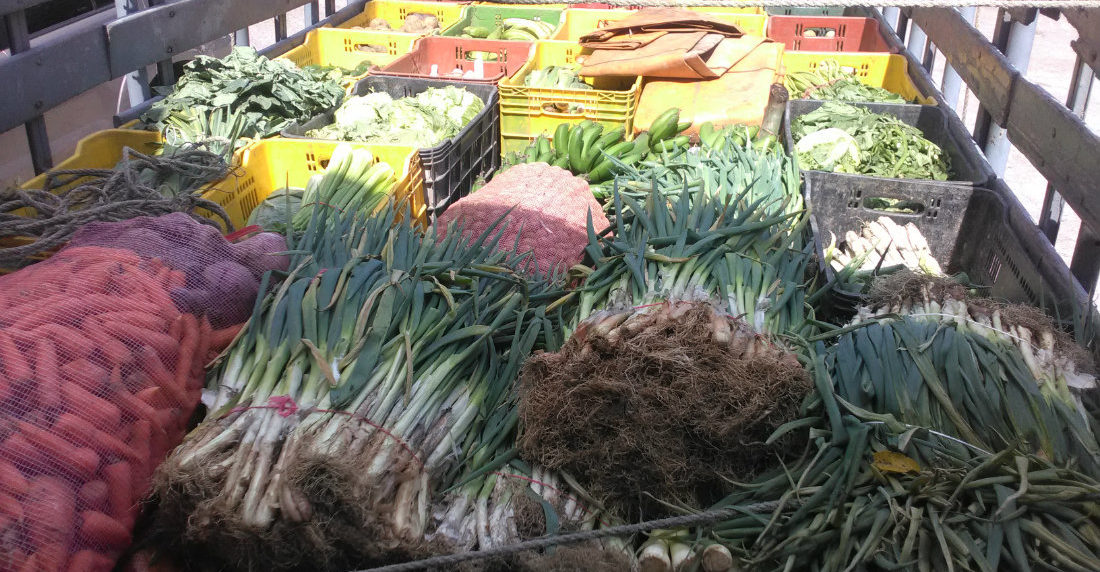 Verduras y vegetales