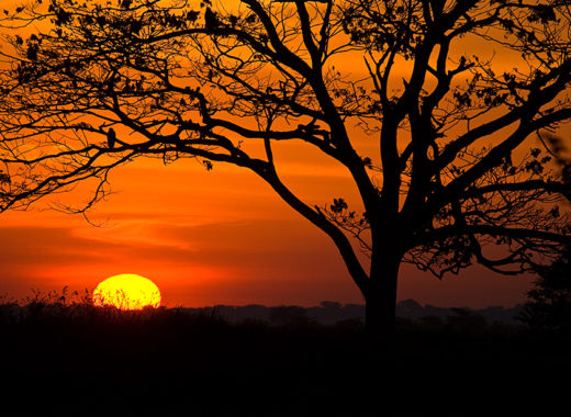 El Hato mostrará bellezas d elos llanos