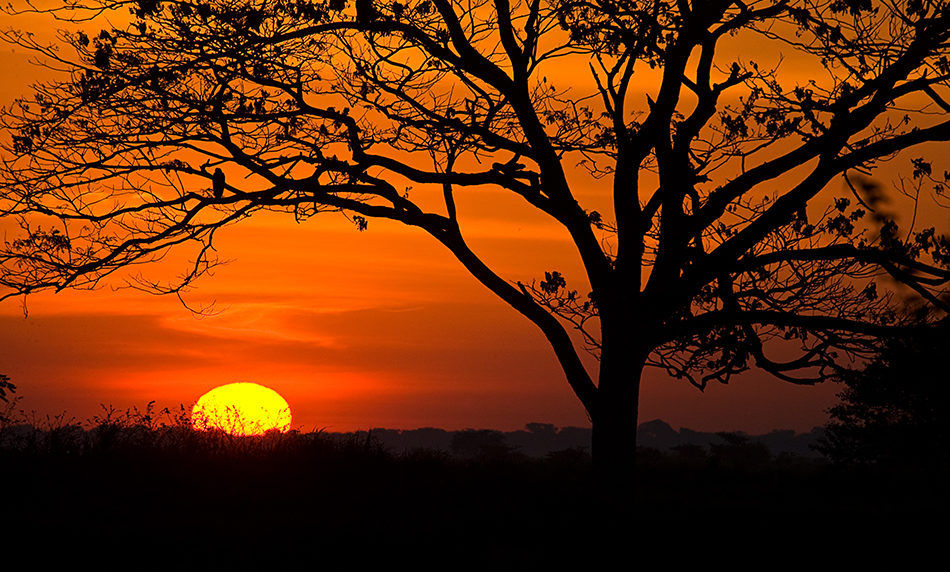 El Hato mostrará bellezas d elos llanos