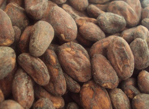 Río cacao