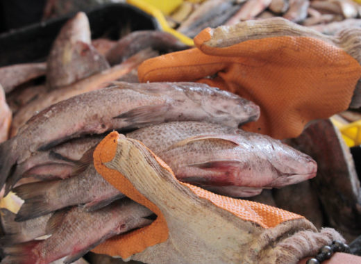 pescado