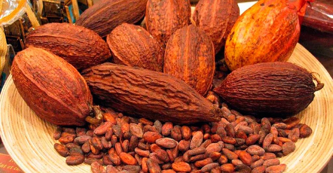 cacao