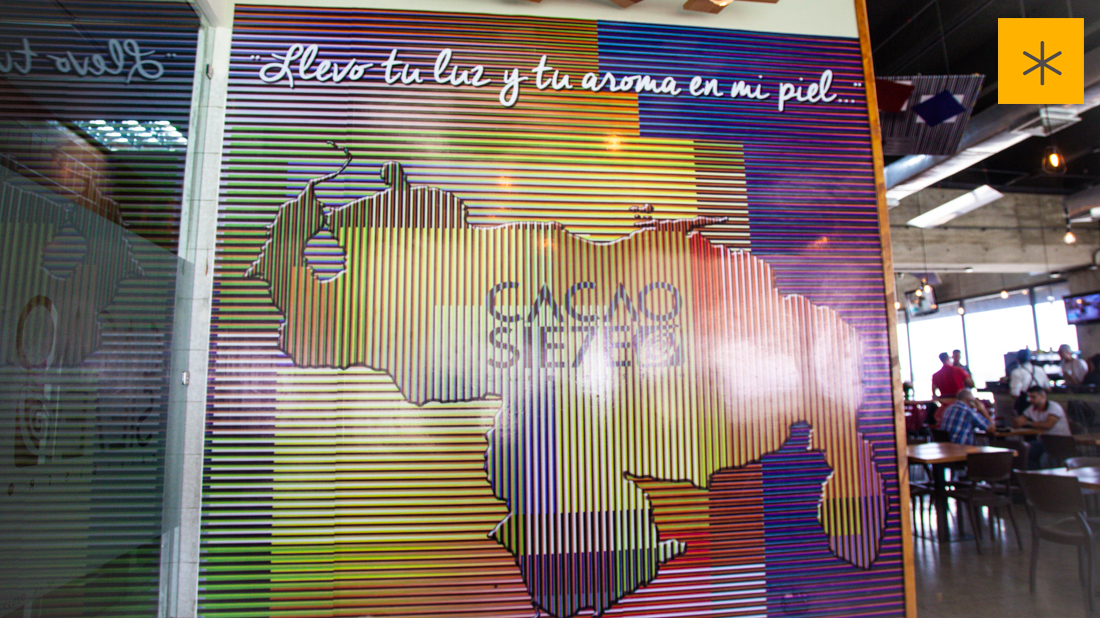 cacao siete