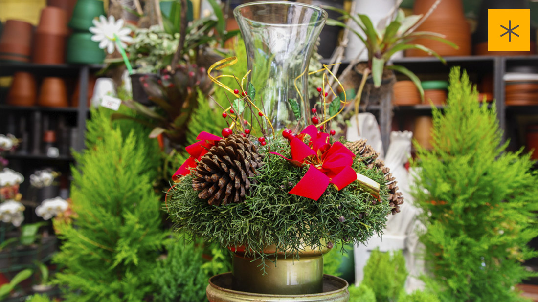 Jardin La Riviera xmas