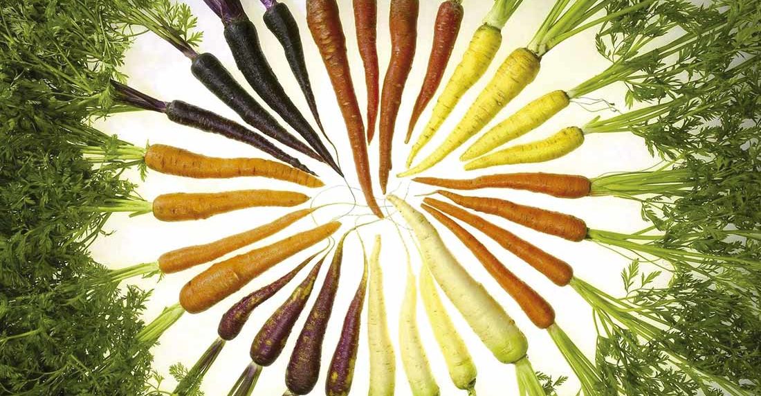 Carrots_of_many_colors