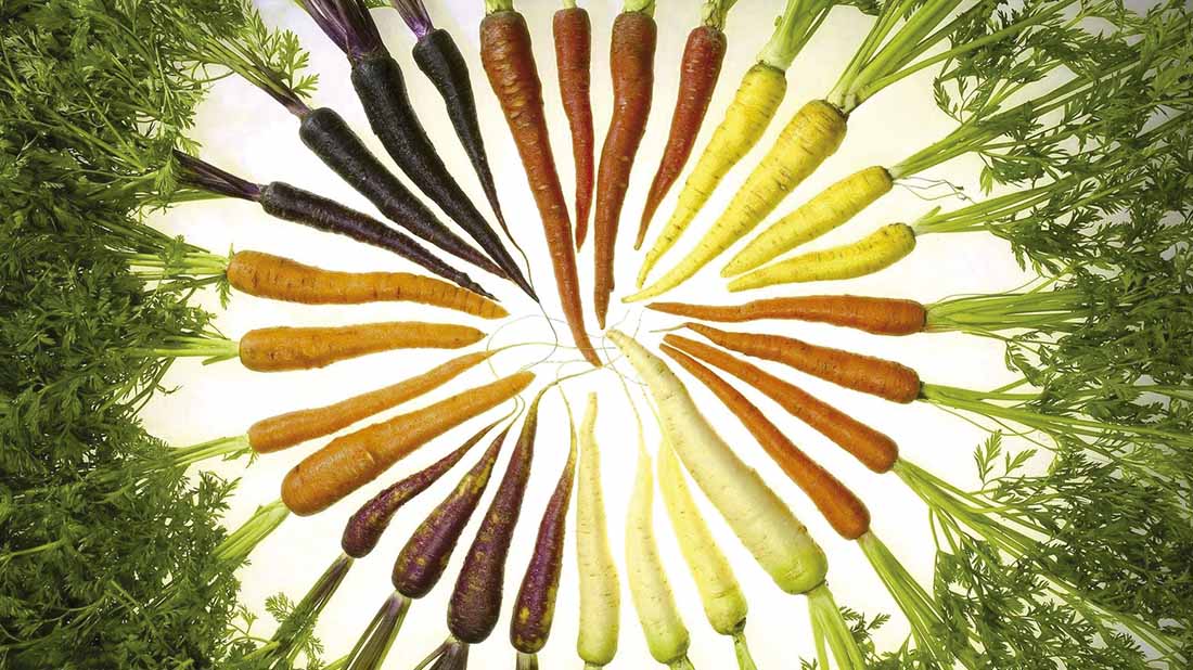 Carrots_of_many_colors