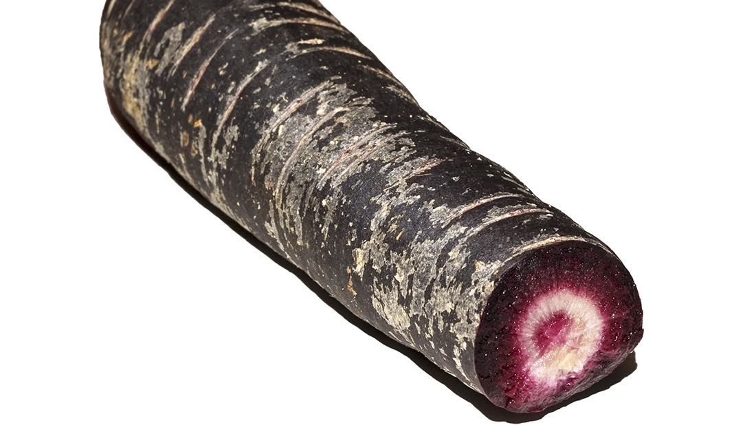 zanahoria morada 1