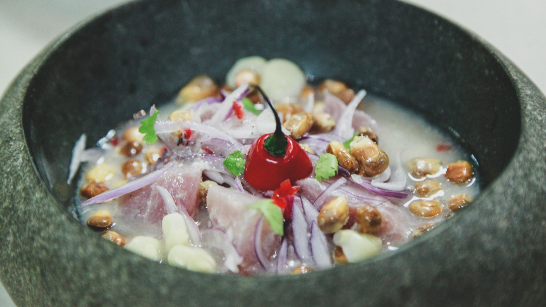 ChristianBravo-KillaPardi-BMS-1501