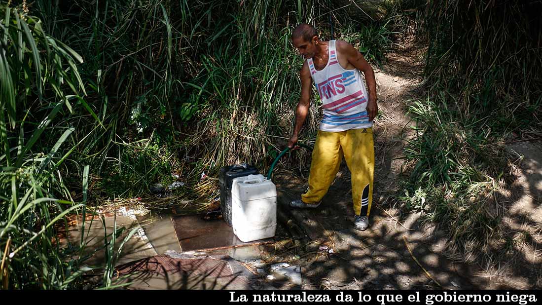 Cotiza5