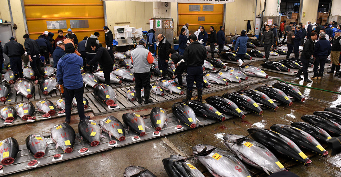 mercado de tsukiji