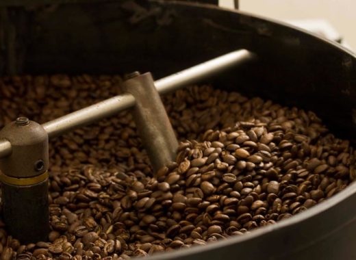 grano a grano venezolano