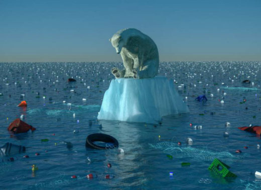 Cambio climático, un problema de todos y el BID se suma a la lucha