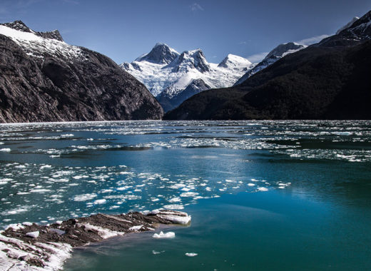 onu biodiversidad calurosos