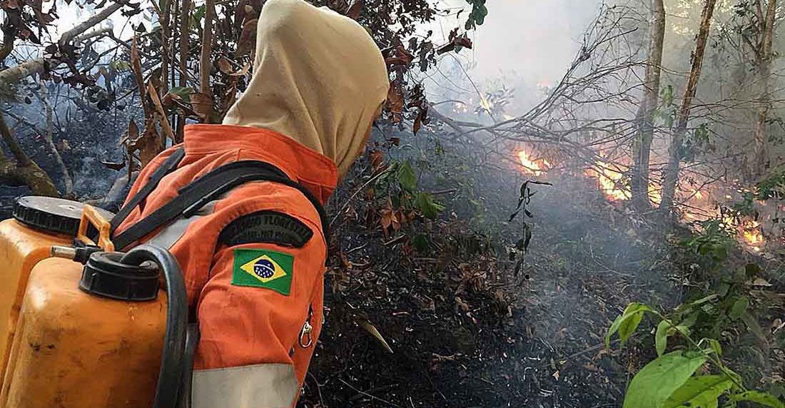 Deforestación Amazonia brasileña