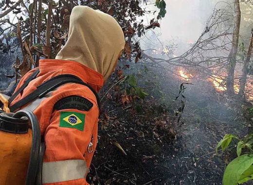 Deforestación Amazonia brasileña