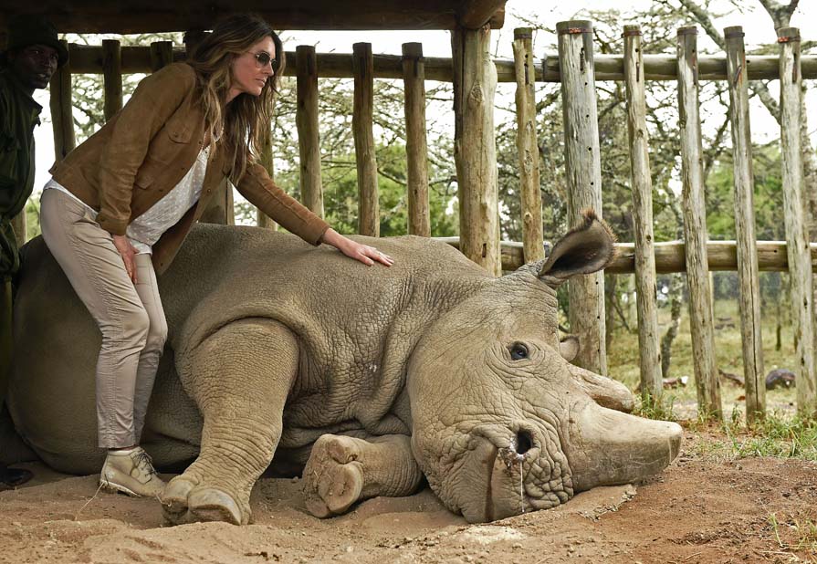 FILES-KENYA-CONSERVATION-CELEBRITY