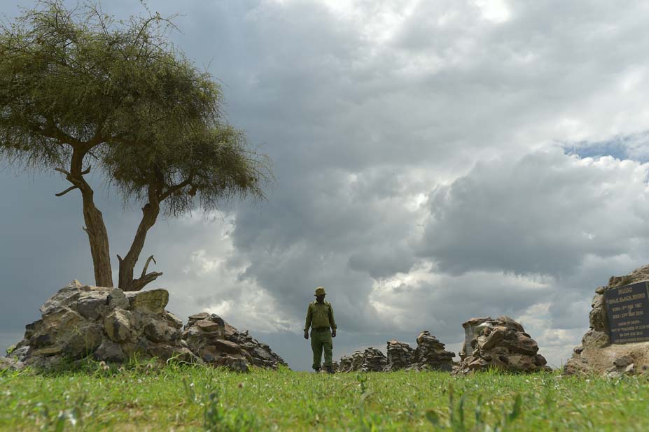 KENYA-ENVIRONMENT-ANIMAL-RHINO