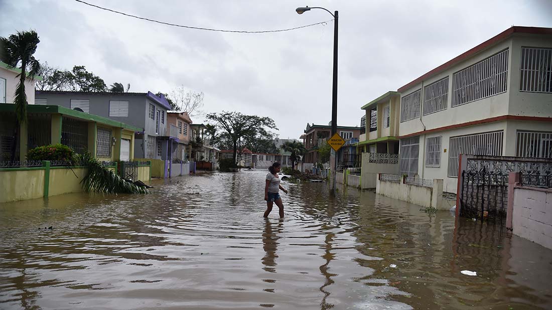 Aftermaths after hurricane Maria hit the Caribbean islands