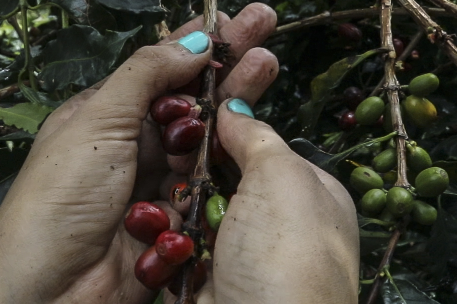 COLOMBIA-VENEZUELA-CRISIS-EXILE-WORK