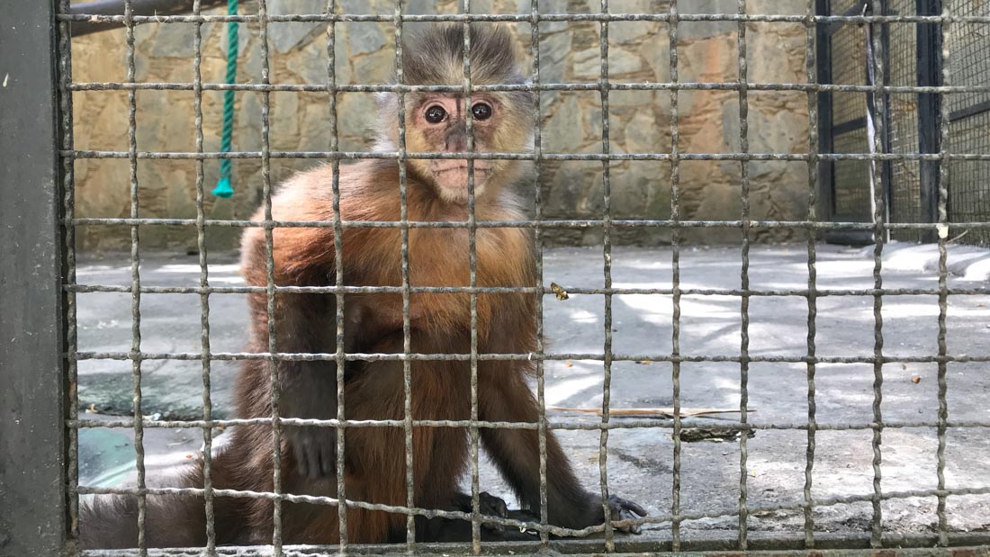 090318 Zoológico de El Pinar Foto: Andrés Gerlotti
