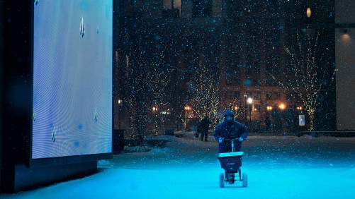 Nieve2