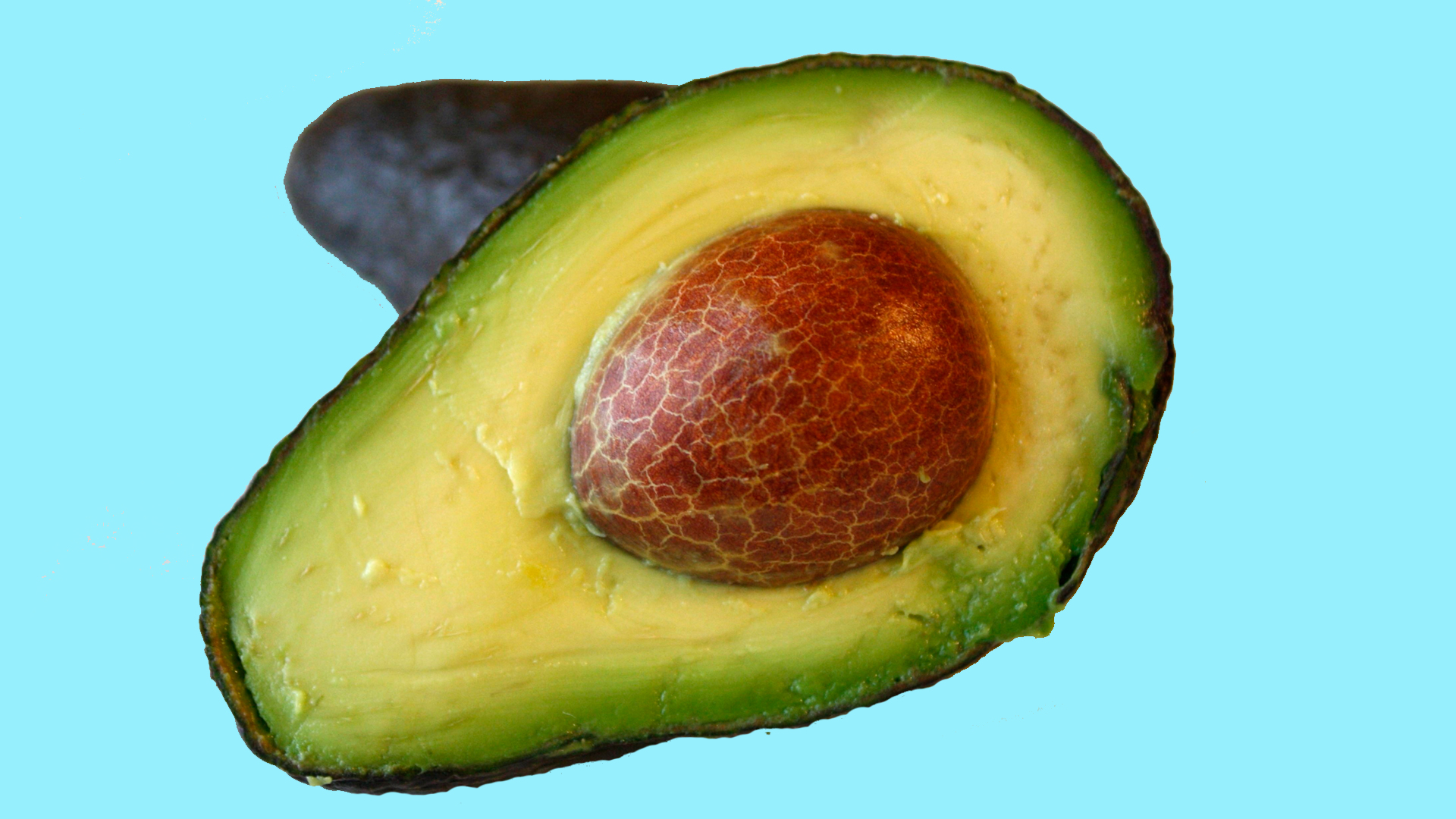 aguacate