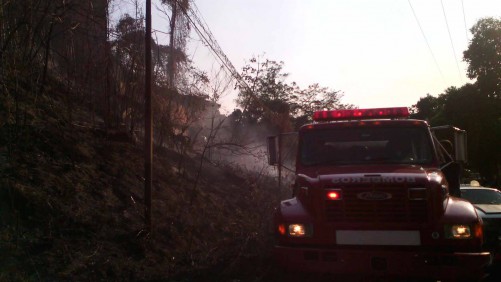 Rosalinda Hernández