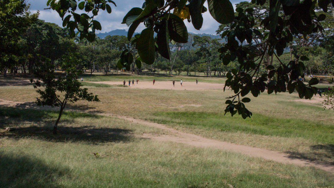 Parque del este Alexis 