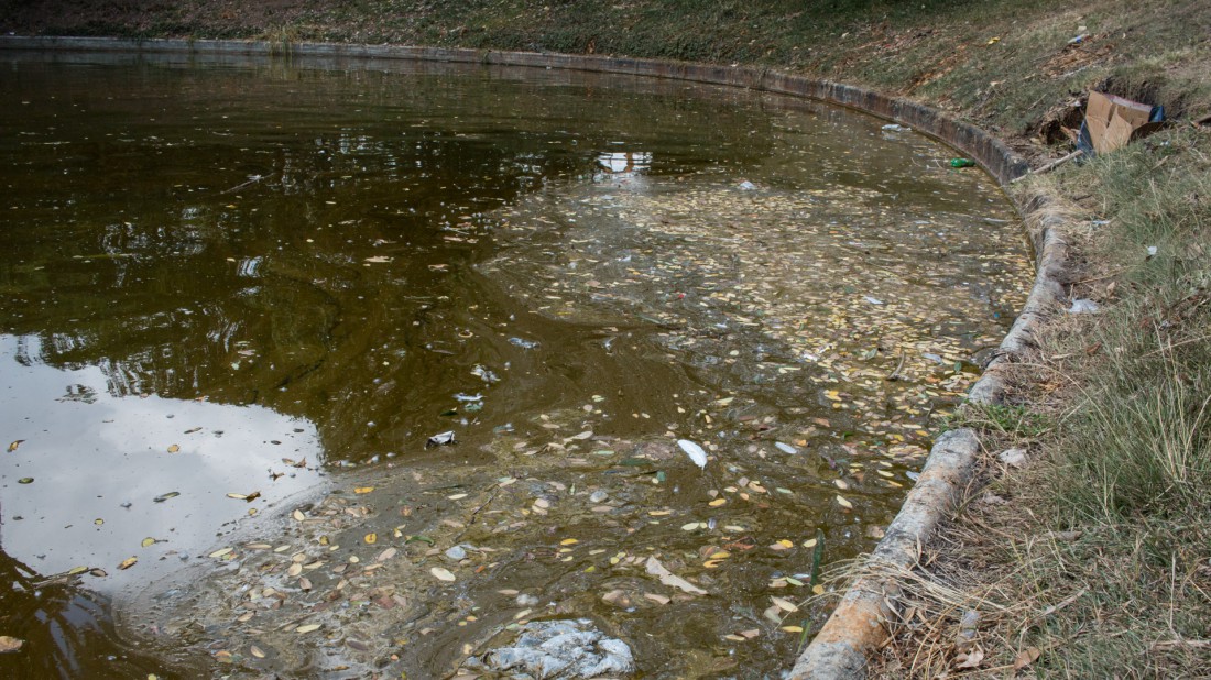 Parque del este Alexis 