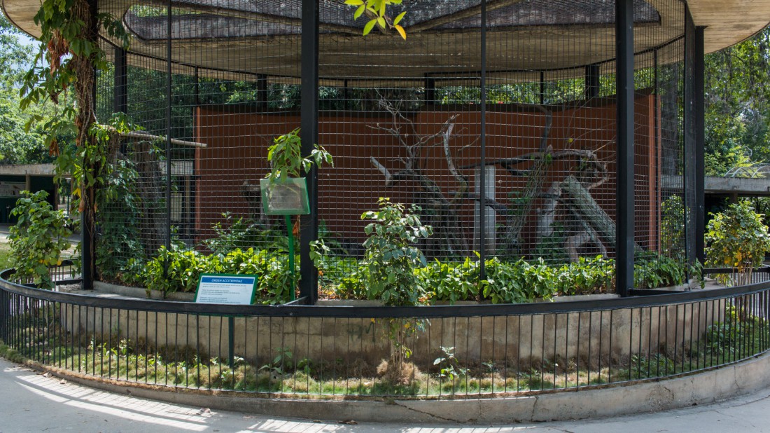 Parque del este Alexis 