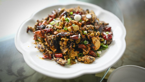 AFP plato cucarachas china