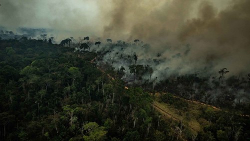 El humo cubre la Amazonía
