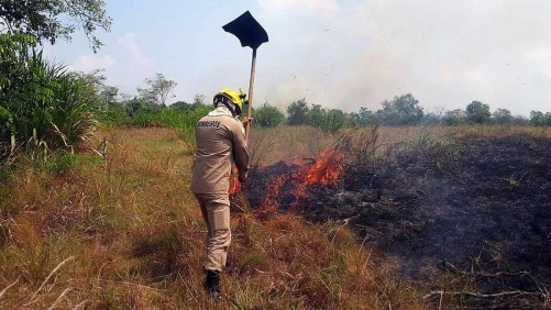 INCENDIO EN LA AMAZONÍA