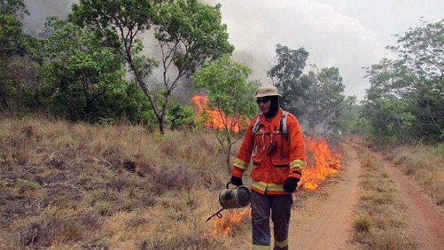 INCENDIO EN LA AMAZONÍA
