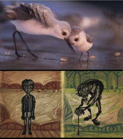 CORTO ANIMADO