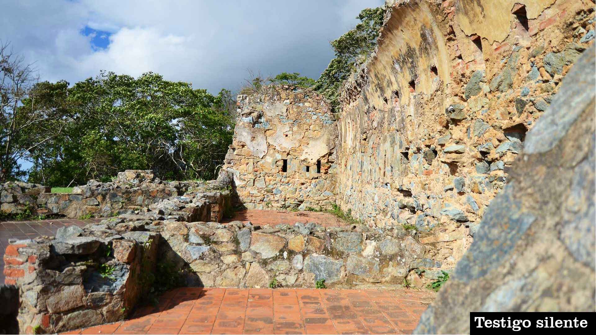 Camino-8