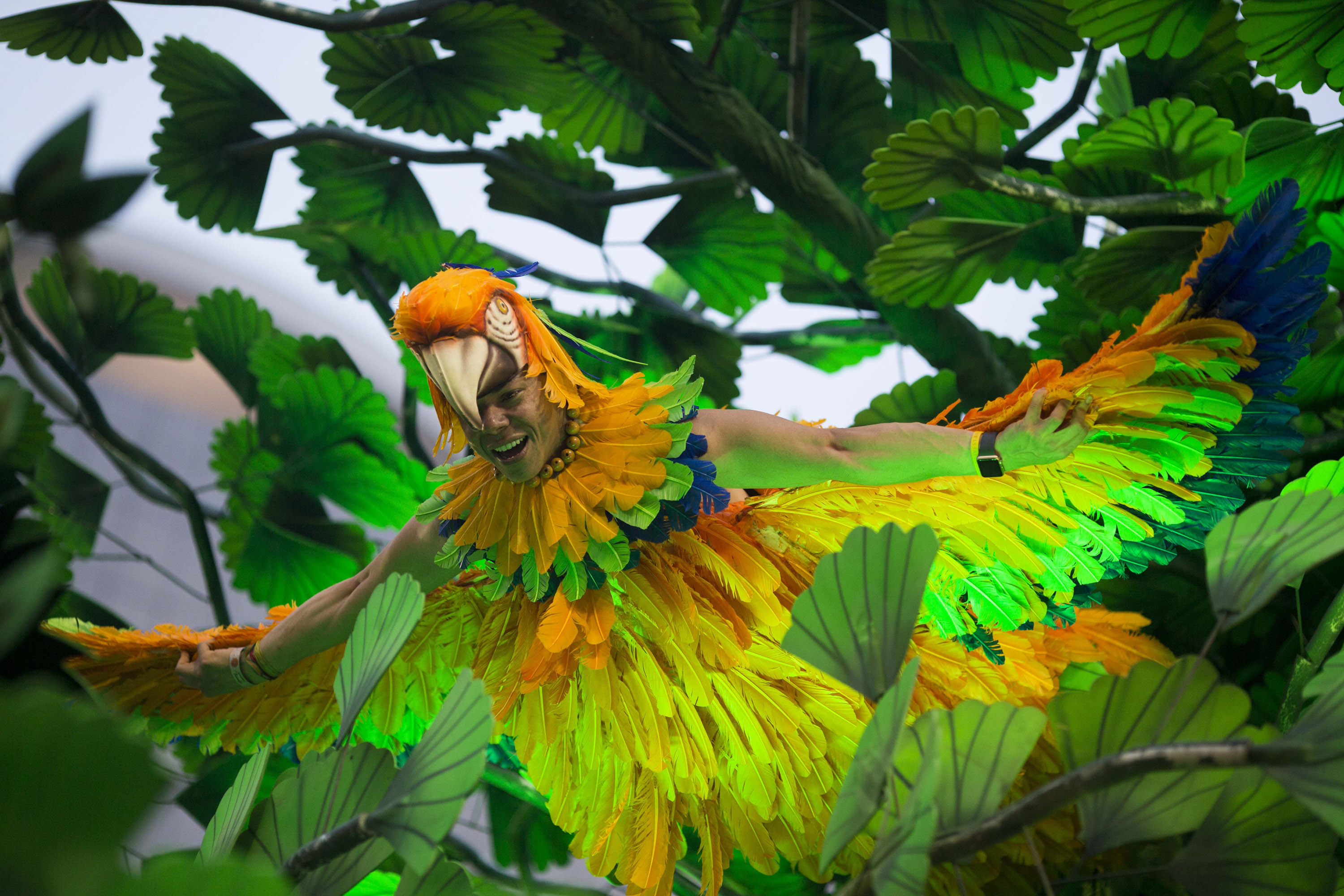 Brazil Carnival