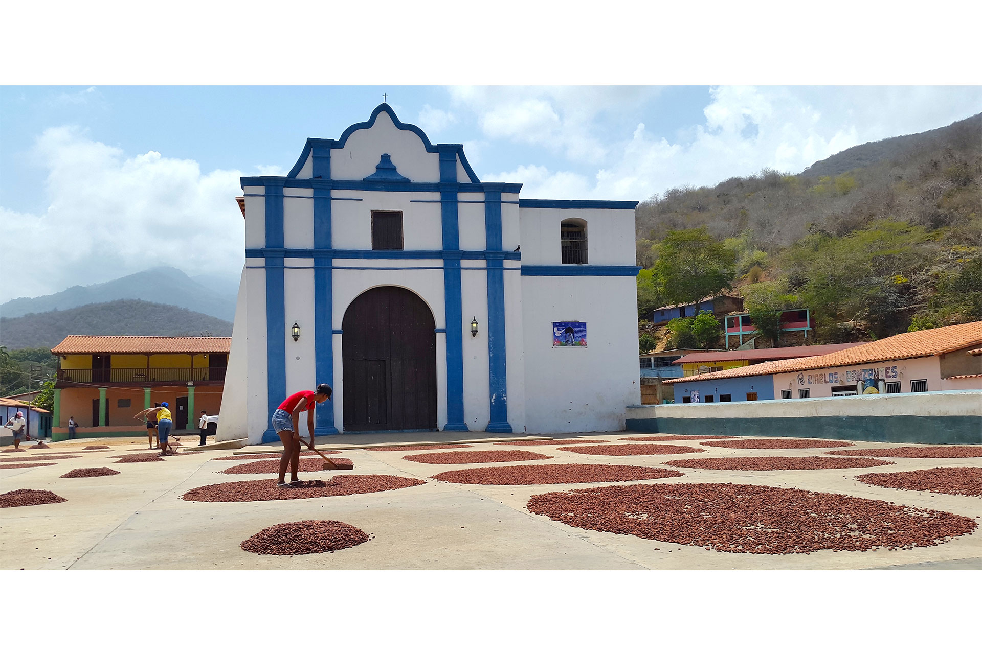 tisano, chuao, diego martínez