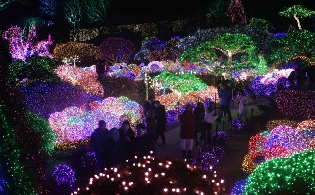 Corea del Sur Jardin Iluminado