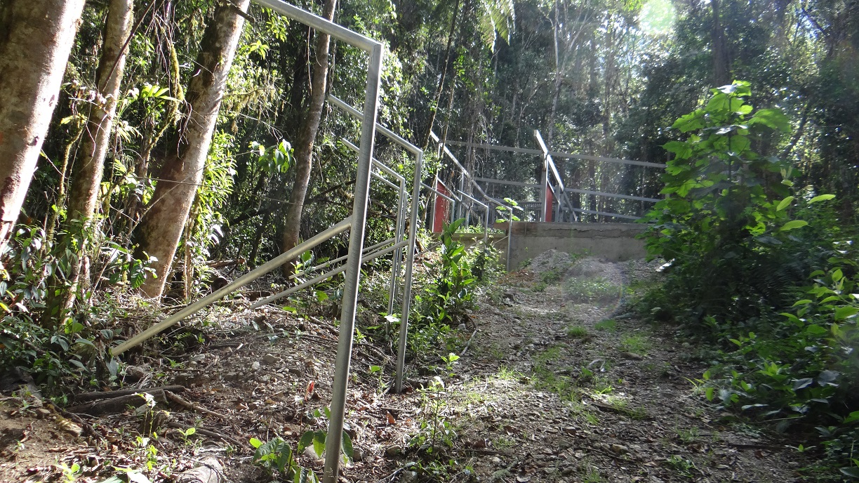 Construcción osos frontinos