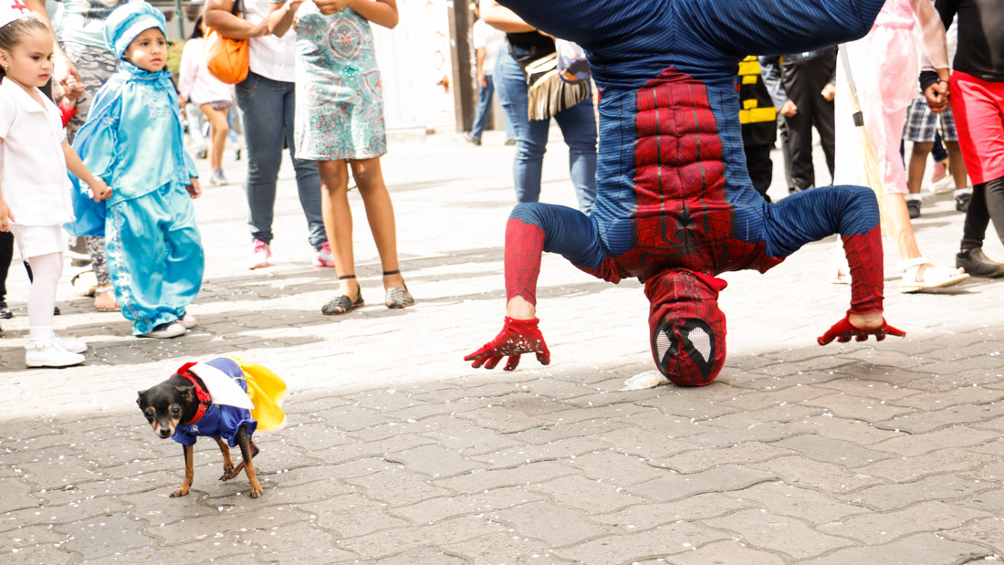 EE_Carnavales_Felipe_Rotjes-16