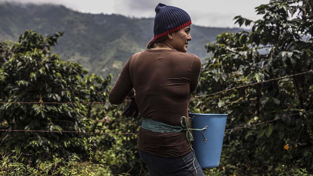 COLOMBIA-VENEZUELA-CRISIS-EXILE-WORK