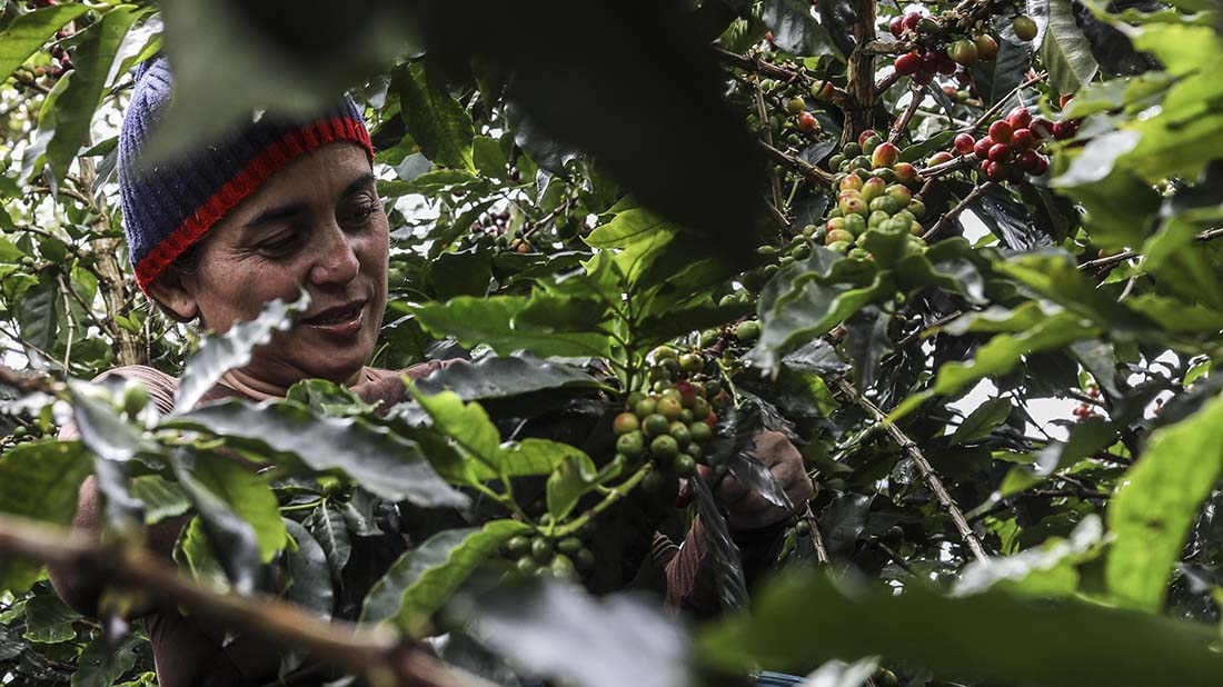 COLOMBIA-VENEZUELA-CRISIS-EXILE-WORK