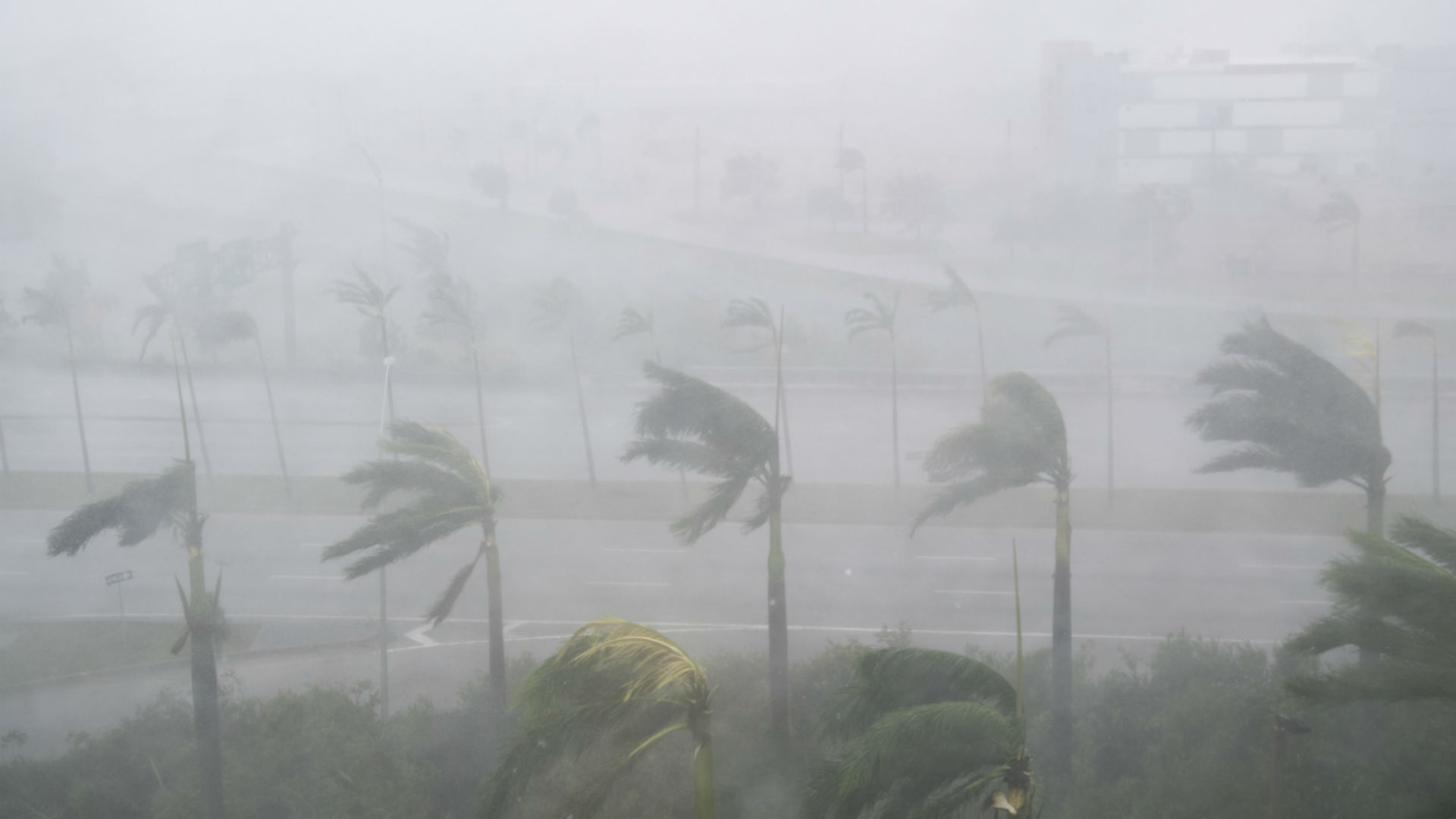 Irma en Miami 3